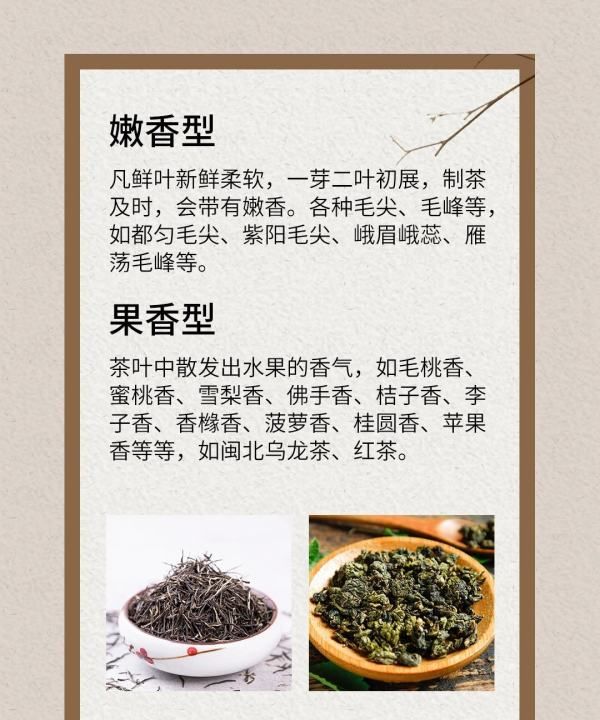 绿茶常见的香气类型有哪些,绿茶常见的香气类型有哪些试分析这些香气产生的原因图12
